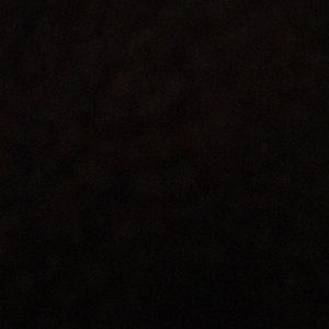 Meet your Posher, Ela